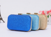 B0010 Clutch glitter